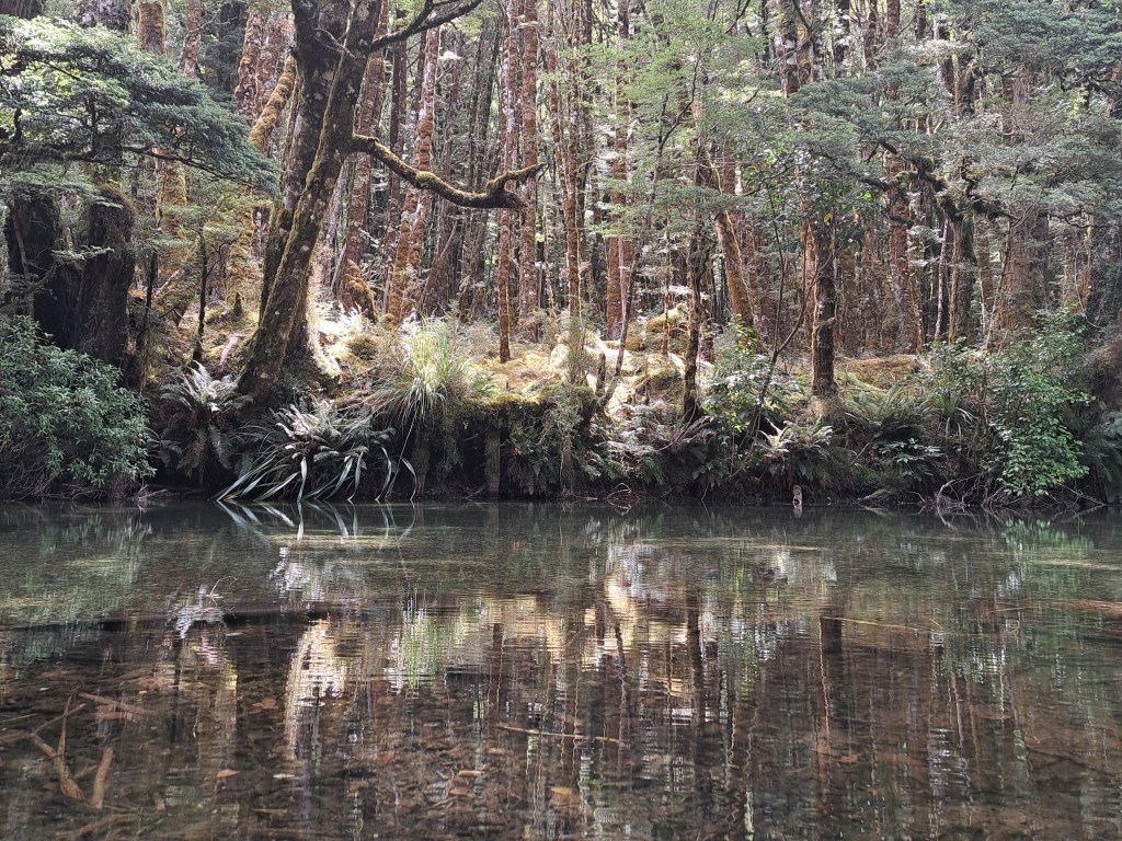 Allein reisen ohne einsam zu sein – Gedanken über Einsamkeit, Verbindung und echte Nähe&nbsp;unterwegs